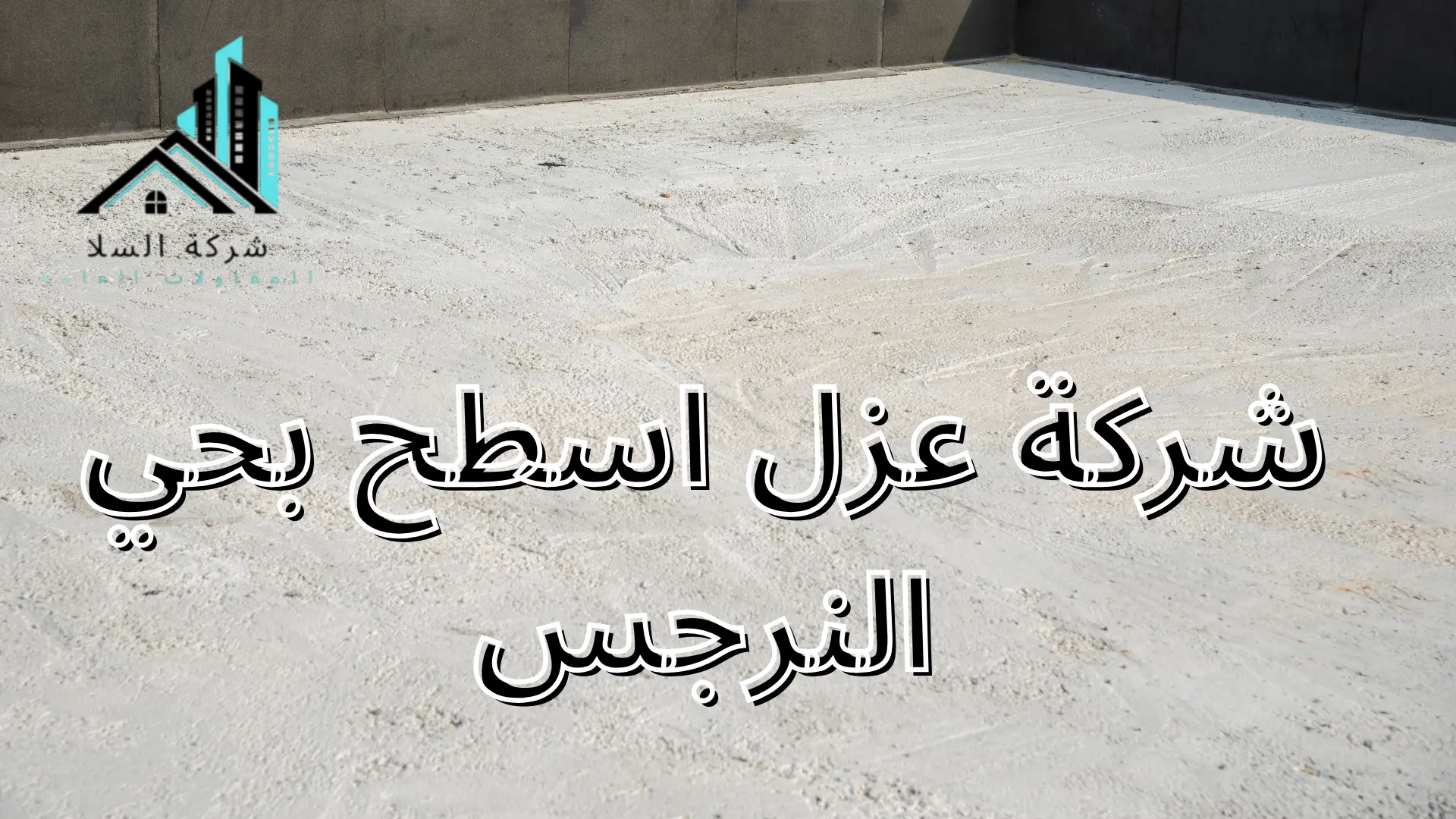 شركة عزل اسطح بحي النرجس 
